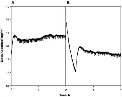 Elastin-Like Protein, with Statherin Derived Peptide, Controls Fluorapatite Formation and Morphology